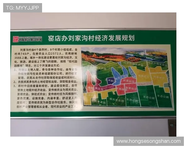 清溪姚明东的故事与传承探寻乡村振兴中的文化底蕴与发展潜力