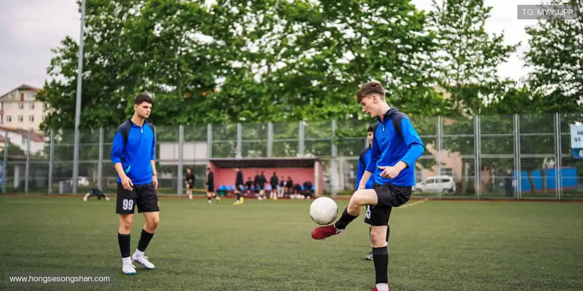 💻 多屏同看，精彩永不卡顿！